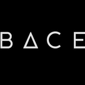 BACE Construction Consultants photo
